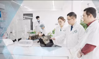 Sinh viên thế hệ mới: Nắm bắt kỷ nguyên của những cơ hội đột phá