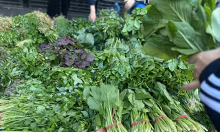 Rau tăng giá, người Hà Nội tự làm giá đỗ, rau mầm, thiết kế bữa ăn '3 món còn 2'