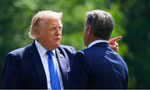 Tổng thống Mỹ Trump bác tin giám đốc CIA tới Nga để cảnh báo