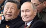 Tổng thống Putin điện đàm với lãnh đạo bốn nước về kế hoạch gặp Tổng thống Trump