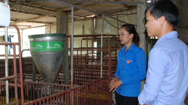 Huyện đoàn Hữu Lũng: Đồng hành cùng thanh niên phát triển kinh tế