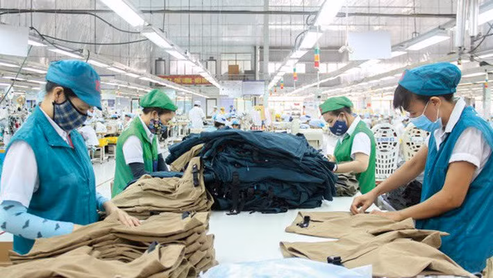 Cả nước có hơn 505 nghìn DN đang hoạt động. ảnh minh hoạ 