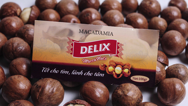 Mắc ca – Hạt mầm ẩm thực và tuyệt chiêu cho mái tóc khỏe đẹp