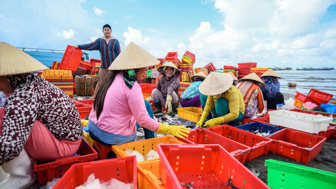 Người dân Phước Tỉnh sung túc nhờ biển cả