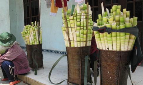 Cẩn trọng khi ăn măng rừng 