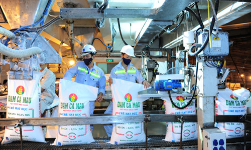 Đạm Cà Mau sản xuất về đích sớm