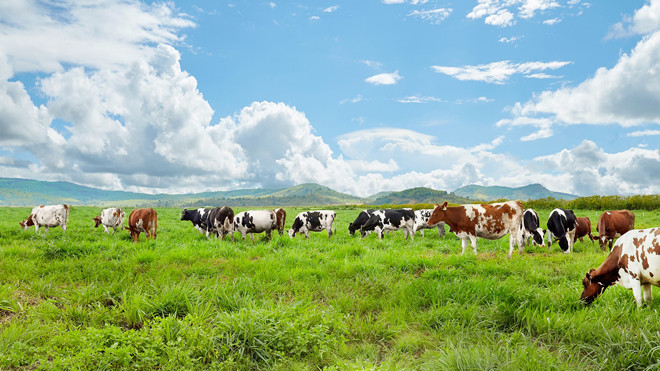 Vinamilk tiên phong cho ra đời sản phẩm sữa tươi 100% Organic