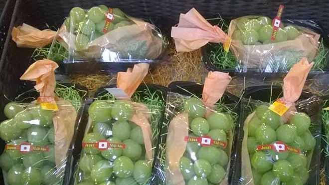 Giá cả triệu đồng/kg nhưng nho Nhật Bản vẫn được săn lùng làm quà biếu Tết