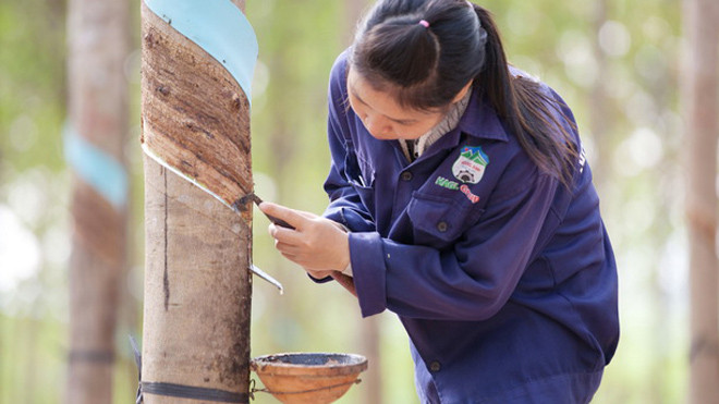 Hoàng Anh Gia Lai tuyển dụng hàng ngàn lao động sang Lào, Campuchia