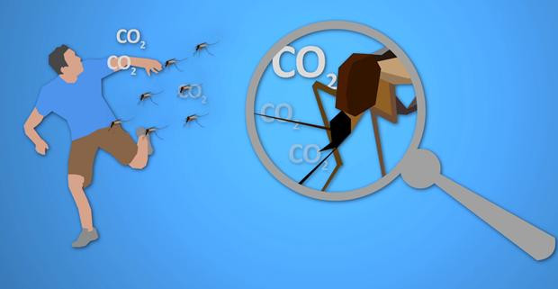 Dùng thiết bị công nghệ chống muỗi tấn công người