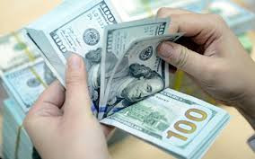 Vừa giảm nhẹ, giá USD bật tăng trở lại. ảnh minh hoạ internet