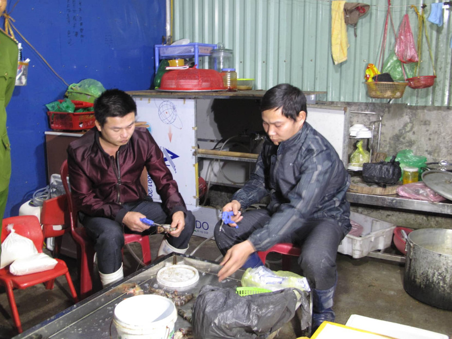 Tôm chết được bơm tạp chất tuồn lên 'bàn nhậu'