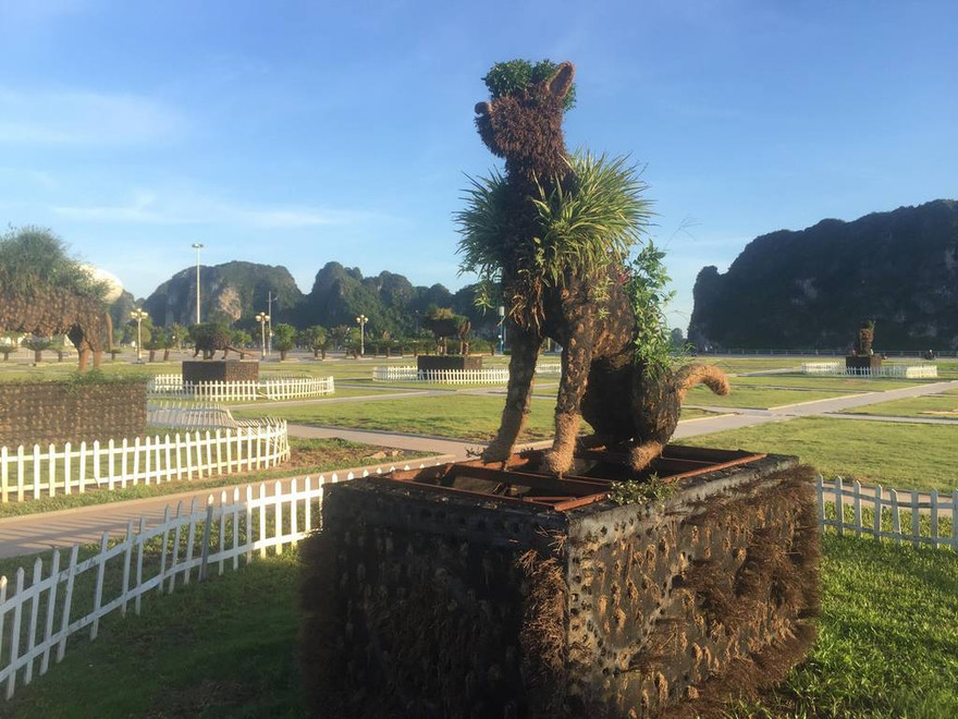 Cận cảnh những con giáp 'biến hình' ở Hạ Long