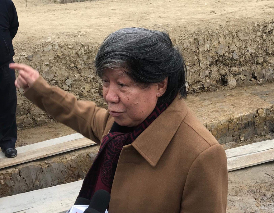 Giáo sư sử học Lê Văn Lan nói gì về bãi cọc nghìn năm tuổi ở Hải Phòng?