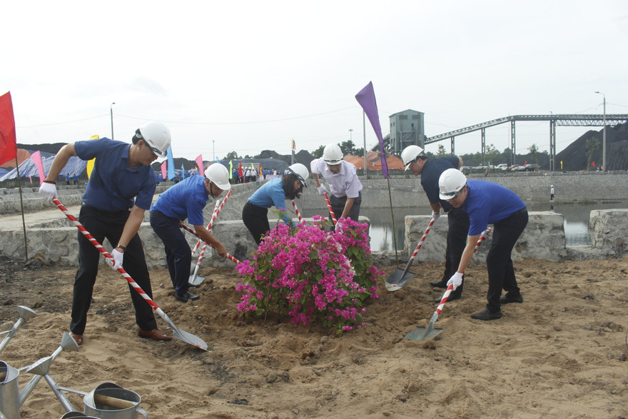 Tuổi trẻ ngành than hưởng ứng Ngày môi trường thế giới