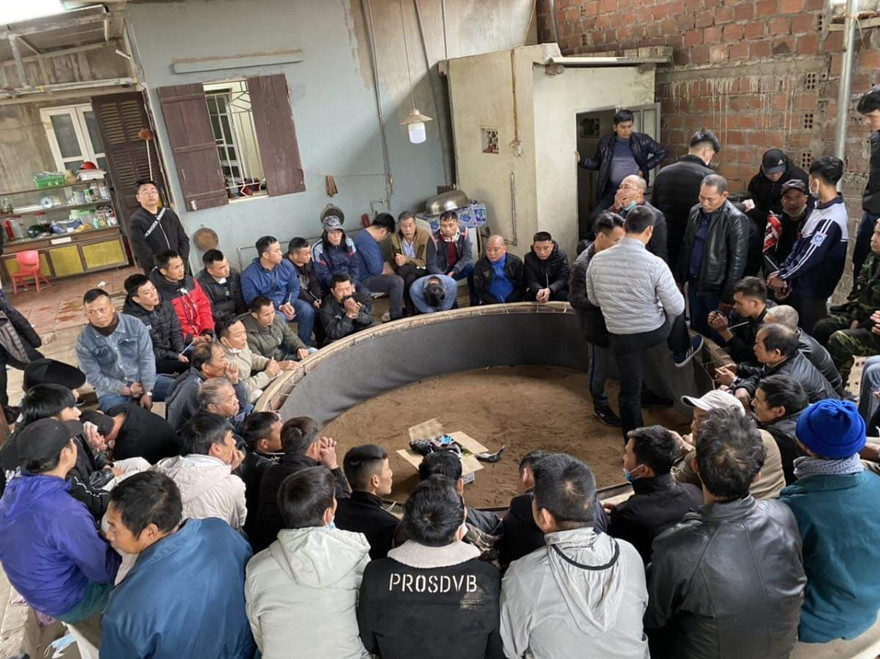 100 chiến sĩ công an vây bắt sới gà liên tỉnh