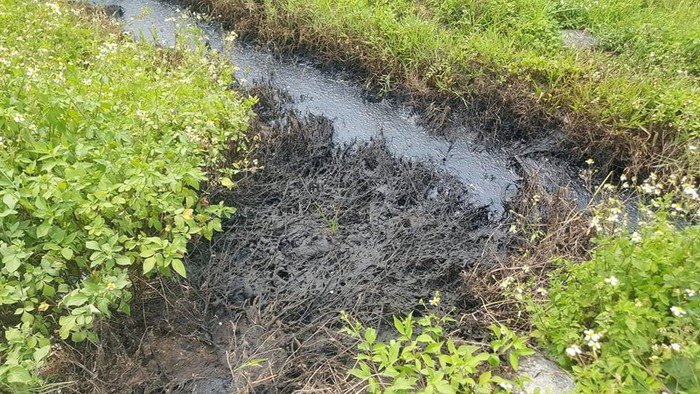 Truy tìm kẻ đổ chất thải độc hại ra mương nước ở Hải Phòng