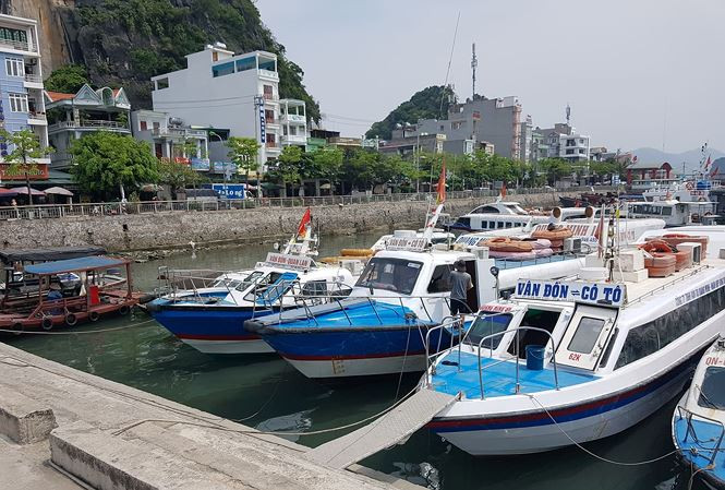 Vé tàu cao tốc Cô Tô liên tục tăng: Doanh nghiệp tự tung tự tác?