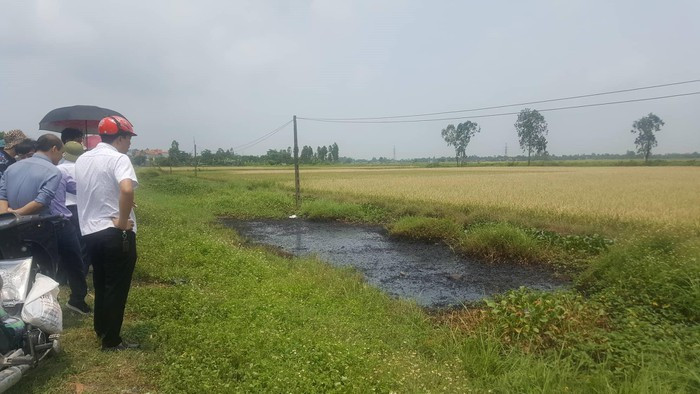 Xác định nghi phạm đổ chất thải độc hại ra mương nước khiến cây cỏ chết cháy