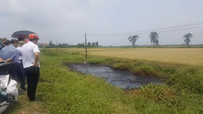 Xác định nghi phạm đổ chất thải độc hại ra mương nước khiến cây cỏ chết cháy