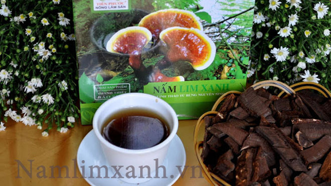 Nấm lim xanh điều trị ung thư vòm họng hiệu quả