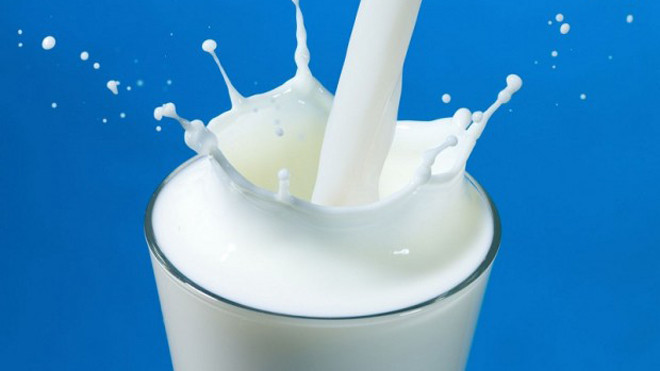 Sữa tươi tốt cho bệnh gút