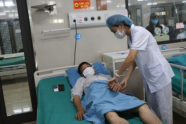 Người đàn ông sốc phản vệ, nguy kịch do bị kiến xoan đốt 