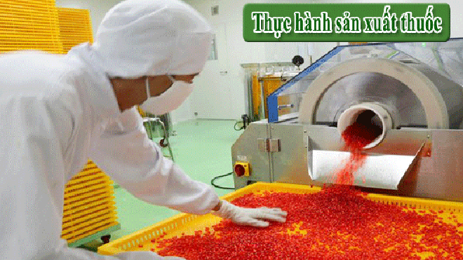 Cao đẳng Dược Hà Nội năm 2016 học trường nào sẽ dễ xin việc?