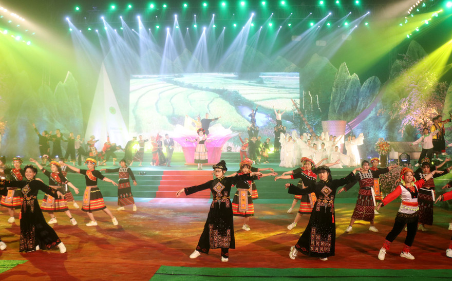 Chương trình nghệ thuật tại lễ công bố thành lập thị xã Sa Pa.