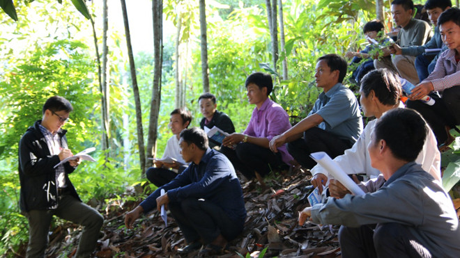 Người dân trồng quế tại Yên Bái được tập huấn về trồng quế hữu cơ