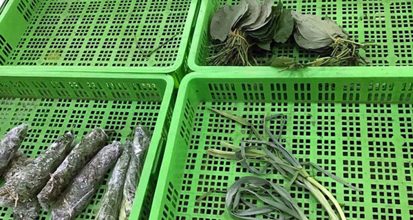 Rau tăng phi mã, đắt ngang thịt cá