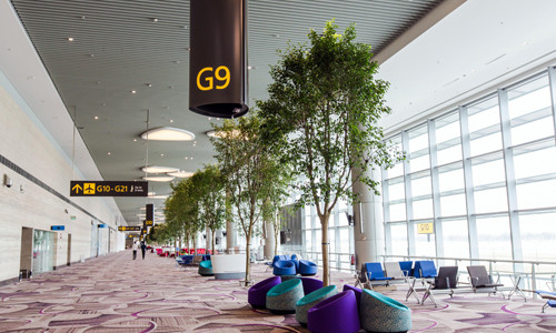 Khách của Vietnam Airlines chính thức được sử dụng nhà ga hiện đại nhất Singapore