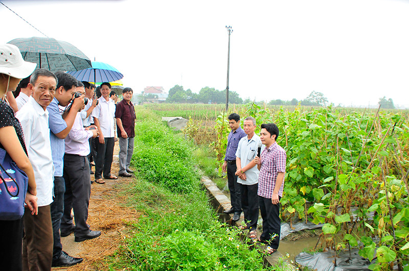 Ứng dụng tiến bộ khoa học kỹ thuật trong sản xuất một số cây trồng vụ đông