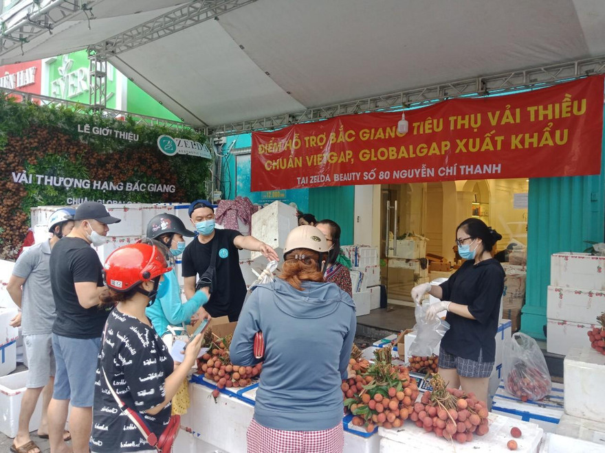 Người Hà Nội ăn vải xuất Nhật chỉ với 35.000 đồng/kg