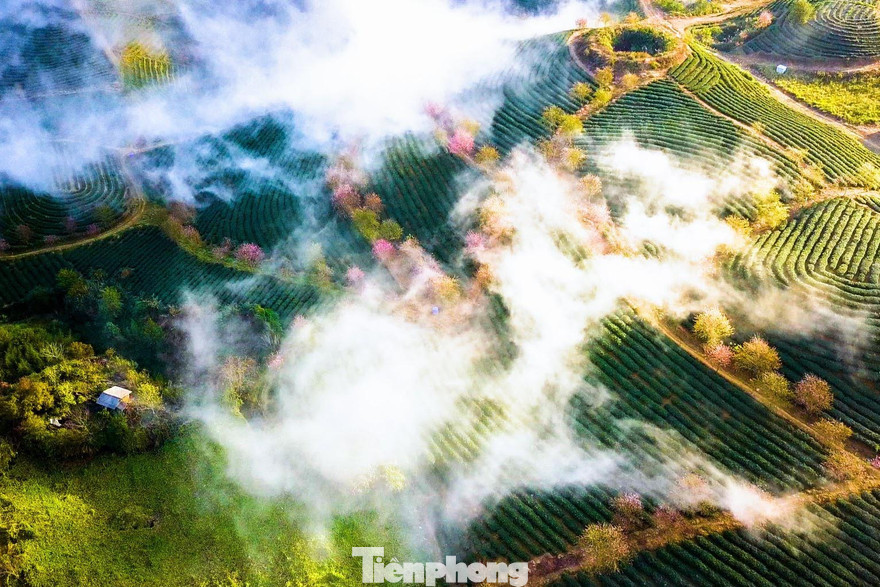 10 chốn ‘bồng lai tiên cảnh’ khi tới Sa Pa vào lễ 30/4 ​