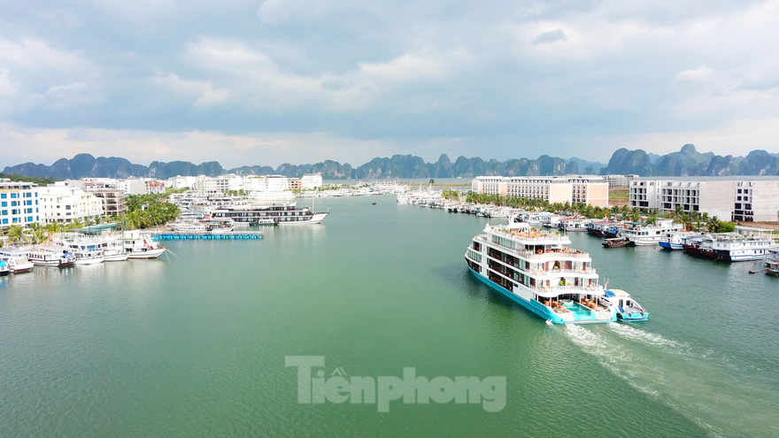 Hàng chục nghìn tỷ 'trôi' trên vịnh Hạ Long