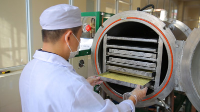 Công nghệ sấy đông khô giúp sữa ong chúa giữa nguyên dưỡng chất và tăng thời gian bảo quản