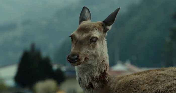 Cảnh báo: Dịch bệnh đáng sợ biến hươu thành Zombie có thể lây sang người