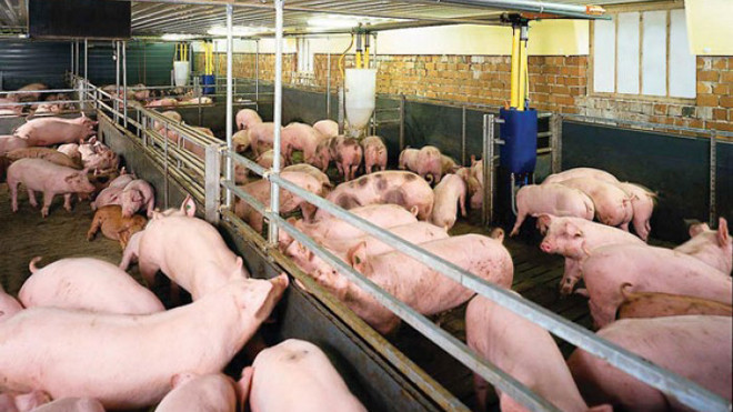 Càng mạnh tay với chất cấm: Thủ đoạn phạm tội càng tinh vi