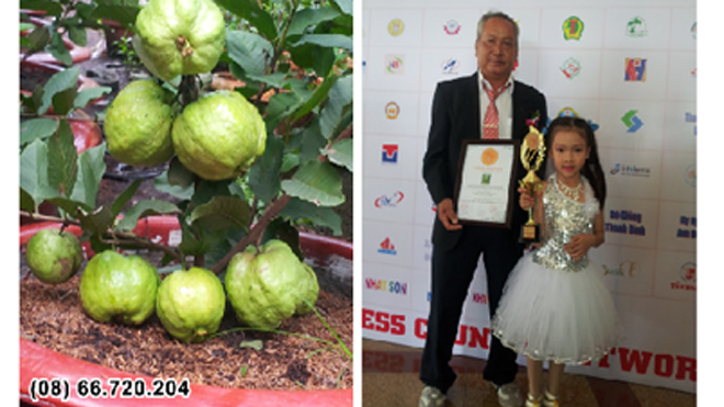 Ông Nguyễn Thành Đại nhận giải thưởng