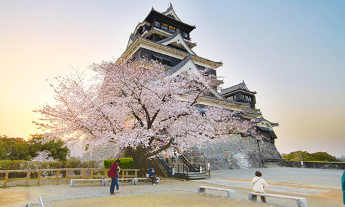 Kinh nghiệm du lịch Kyushu hữu ích cho mọi người