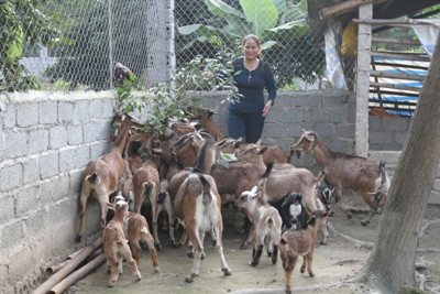 Trang trại tổng hợp gia đình bác Trần Văn Lập - Đỗ Thị Chín (thôn Quyết Tiến, xã Ngọc Phụng) ngày càng phát triển nhờ nguồn vốn vay từ Agribank (chi nhánh Thường Xuân, Thanh Hóa)