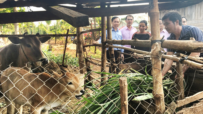 Đoàn công tác NHNN, NHCSXH thăm mô hình vay vốn ưu đãi của vợ chồng anh chị Y Dôi Byă và H’Trưk Bkrông