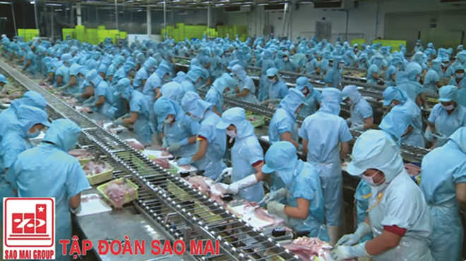 Quy trình chế biến cá tra xuất khẩu của Công ty Cổ phần Đầu tư và Phát triển đa quốc gia (IDI)