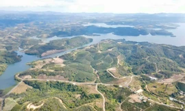 Thu hồi hơn 1.400 ha đất dự án Sài Gòn Đại Ninh