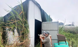 Lâm Đồng cưỡng chế phá dỡ 6 công trình xây dựng trái phép trên đất nông nghiệp