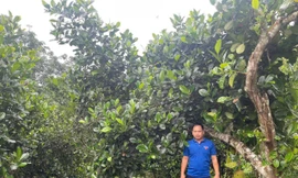 Chàng bí thư đoàn xã gây dựng mô hình VAC, lan tỏa tinh thần lập thân, lập nghiệp trong thanh niên vùng biên