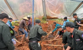 Lực lượng chức năng tìm kiếm nạn nhân.