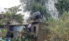 Hy hữu: Trâu 'chờ' chủ trên mái nhà sau lũ