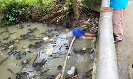 Khu vực phát hiện thi thể người đàn ông.